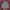 Helly Hansen Sportswear Casual Puffer Jacket Pria Multicolor
