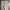 EDWIN Vintage Streetwear Casual pants Pria tan cream photo 2