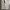 EDWIN Vintage Streetwear Casual pants Pria tan cream photo 3