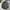 Minimalist Casual Formal Shirt Pria Green Khaki