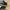 Adidas Casual Sneakers Pria white black photo 2