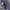 Nike Streetwear Sneakers Pria purple black photo 3