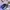 Nike Streetwear Sneakers Pria purple black photo 1
