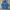 Carhartt Casual Denim jacket Pria blue photo 8