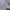 Sportswear Polo shirt Pria purple white photo 4