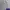 Sportswear Polo shirt Pria purple white photo 1