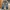True Religion Streetwear Y2K Jeans Pria Blue