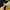 Adidas Casual Track jacket Pria navy yellow photo 6