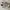 Adidas Casual Sneakers Kids white photo 3