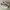 Adidas Casual Sneakers Kids white photo 1