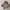 Adidas Casual Sneakers Kids white photo 6