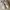 Adidas Casual Sneakers Kids white photo 2