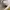 Adidas Casual Sneakers Kids white photo 7