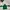 Gorpcore Sportswear Track jacket Pria green photo 2
