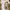 A Bathing Ape Luxury Emo T-shirt Pria white brown photo 1