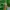 Vintage Streetwear Hat Pria White Green