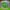 Vintage Streetwear Hat Pria white green photo 3