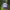 Vintage Sportswear Hat Pria cream photo 1
