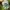 Vintage Sportswear Hat Pria cream photo 3
