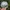 Vintage Sportswear Hat Pria cream photo 2