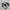 Nike Sportswear Casual Sneakers Pria White Black
