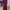 Muslim Maxi dress Wanita burgundy red photo 2