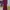 Muslim Maxi Dress Wanita Burgundy Red