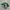 Nike Air Jordan Casual Sneakers Pria white green photo 1