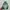 Nike Air Jordan Casual Sneakers Pria white green photo 2