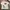 Vintage Streetwear T-shirt Pria gray photo 1