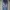 Wildflower Cases Casual Denim Jacket Pria Black