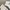 Y2K Suit Pria white photo 6