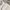 Y2K Suit Pria white photo 3