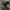 Nike Streetwear Sneakers Pria silver black photo 1