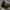 Nike Streetwear Sneakers Pria silver black photo 2