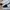 VANS Emo Casual Sneakers Wanita white black photo 2