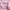 Gildan Streetwear Casual Sweater Wanita pink photo 4