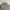 Streetwear Casual Windbreaker Pria gray photo 2