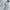 Everlast Skater Sportswear Hoody Pria gray photo 4