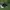 Adidas Sportswear Boots Pria white black photo 2