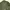 Neighborhood Vintage T-shirt Pria Green