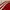 Adidas Sportswear Casual Jersey Pria red photo 3