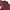Uniqlo Casual Formal Shirt Pria Burgundy