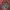 Japanese Brand Cottagecore Sportswear Puffer Jacket Pria Multicolor