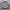 Polham Casual Sweater Pria white navy photo 5