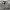 Polham Casual Sweater Pria white navy photo 1