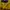 Nike Streetwear Luxury Hoody Pria yellow photo 3