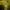 Nike Streetwear Luxury Hoody Pria yellow photo 4