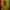 Nike Streetwear Luxury Hoody Pria yellow photo 1