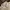 Dickies Biker Casual Casual shirt Pria tan photo 3